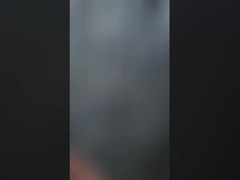 سياج تغذية الخيول