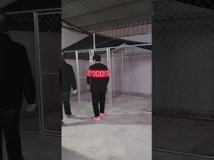 بيت الكلب الصلب