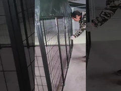 6 أقدام ارتفاع الحامية الفولاذ الكلب الكنيل مسحوق مغطى الكلب تشغيل المنزل