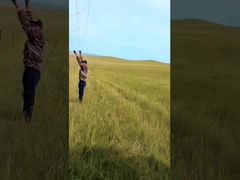 حرارة غطس غسالة سياج الماشية لوحة 8 أقدام ارتفاع ثابت عقدة الغزلان سلك شبكة السياج