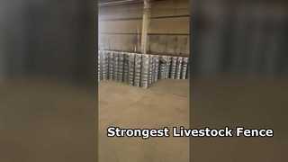 سياج قوي للماشية لخيول الماشية