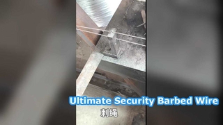 25 كجم سياج أمني من الأسلاك الشائكة المجلفنة